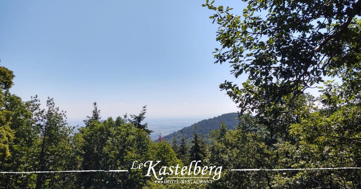 Hotel Restaurant Le Kastelberg, The Originals Boutique Andlau-au-Val Exterior photo