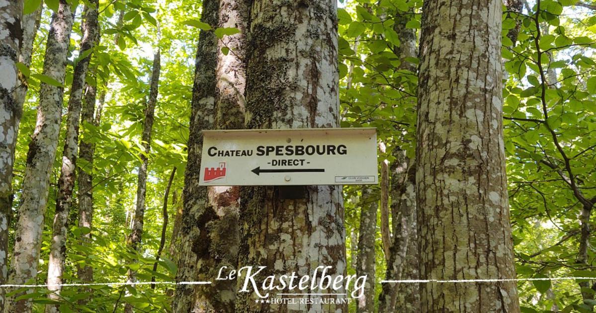 Hotel Restaurant Le Kastelberg, The Originals Boutique Andlau-au-Val Exterior photo